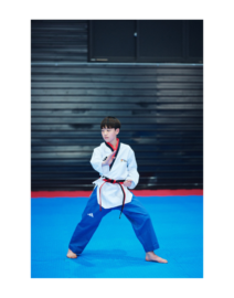 Adidas Poomsae Poom Uniform for Youth Male (4)